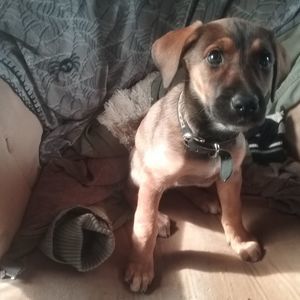 Meet your Posher, Linda